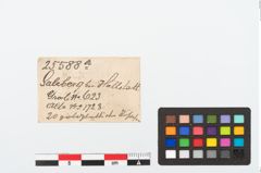 Etikett zu Goldspiralröhrchenperlen (NHMW-PRAE-025588a)